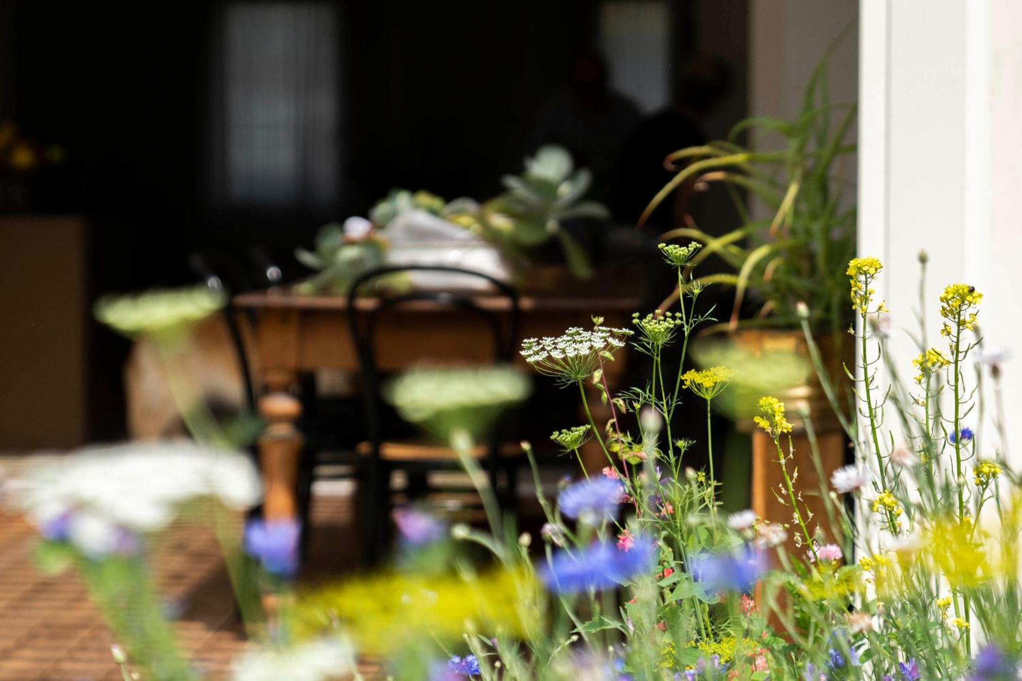 Bed And Breakfast Canalgrande Mira Exterior foto